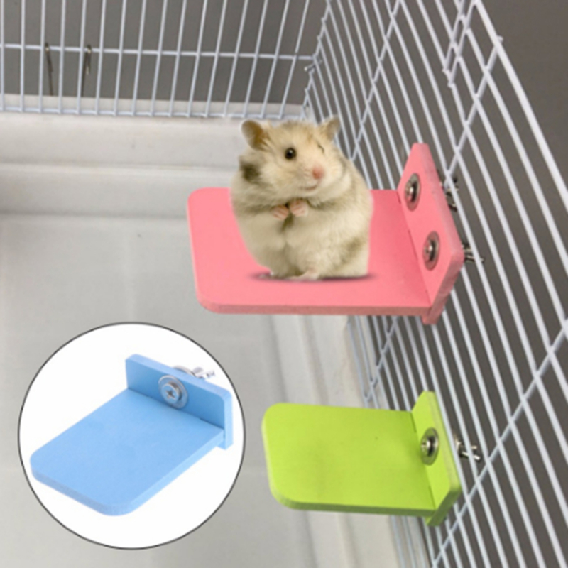 Bộ Đồ Chơi Sinh Học Cho Chuột Hamster