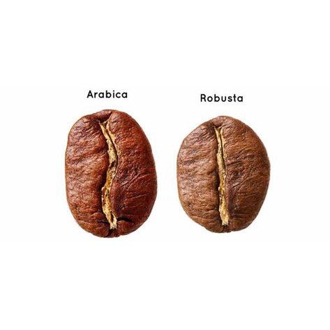 [ DEAL SỐC] 300G Cà Phê Rang Mộc ROBUSTA - IN TIME COFFEE | BigBuy360 - bigbuy360.vn