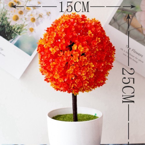 Chậu hoa cẩm tú cầu để bàn, để trang trí kệ treo tường .