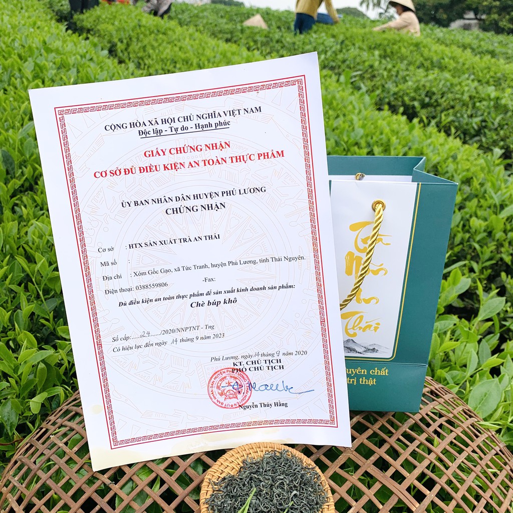 Hộp trà nõn tôm biếu tặng cao cấp tặng kèm túi xách sang trọng - Đặc sản Thái Nguyên thơm ngon hút chân không hộp 400g | BigBuy360 - bigbuy360.vn