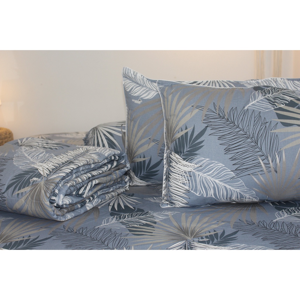 Bộ drap 4 món Cotton - Mẫu Lá Cọ Nền Xám