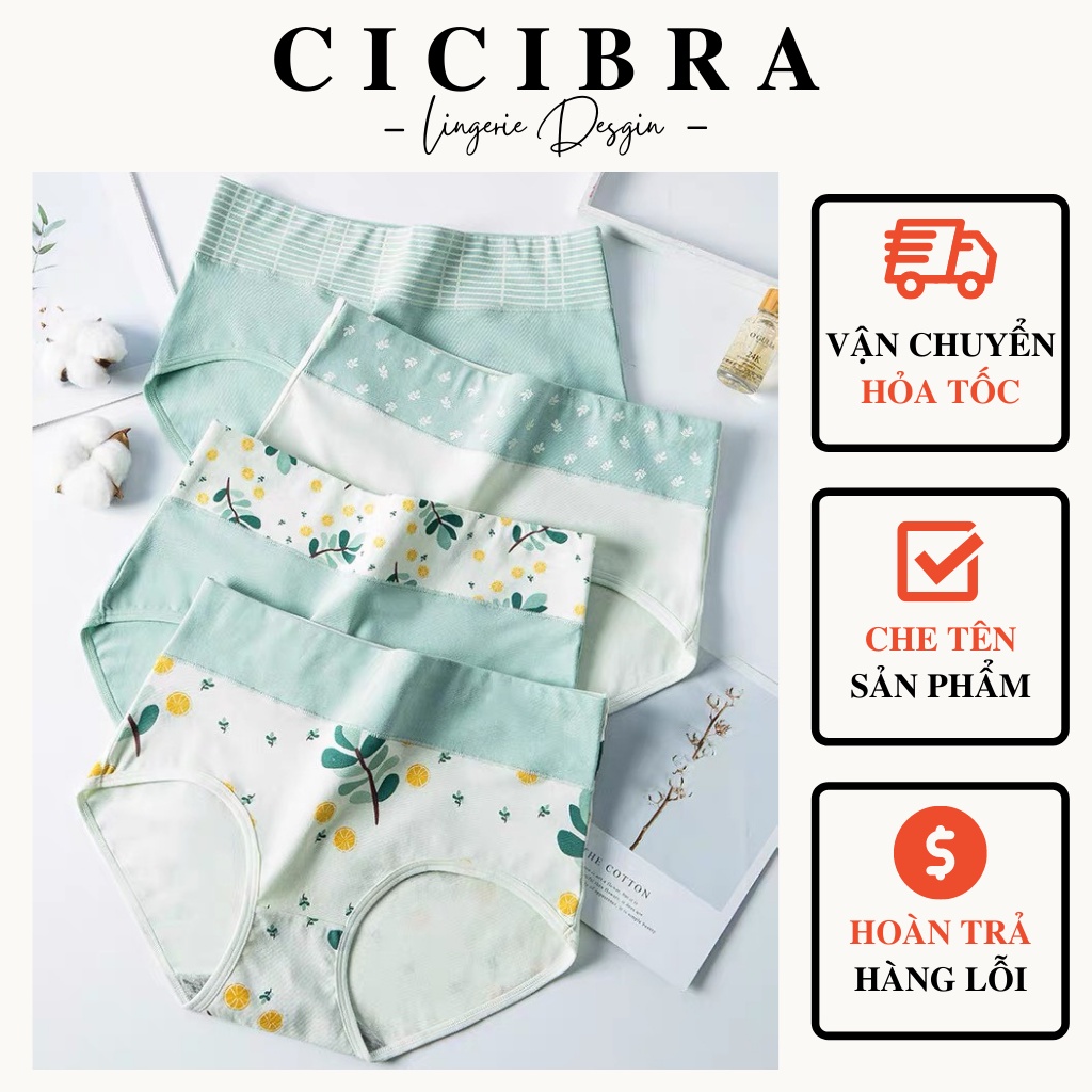 Set 4 Quần Lót Cạp Cao Họa Tiết Xanh Trắng Chất Cotton Mềm Cao Cấp, Thoáng Mát CiCi Bra - QL32
