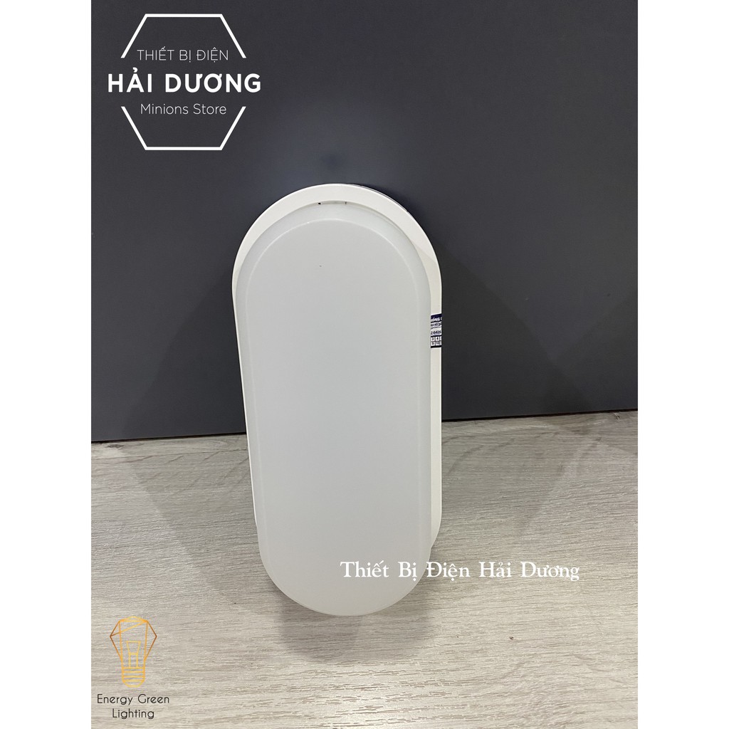 Đèn LED Ốp Tường D LN12L 90x195/10W Rạng Đông - Siêu Sáng - Siêu Tiết Kiệm Điện - Ánh Sáng Trắng