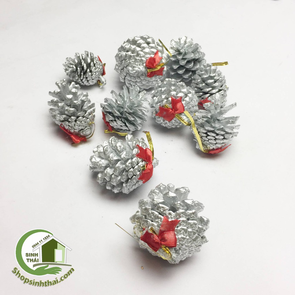 Quả thông khô tự nhiên nhiều màu - quả nhỏ - chọn màu