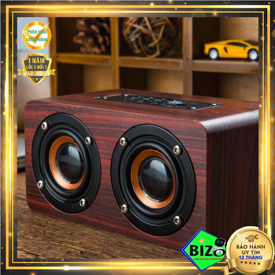 [CAO CẤP] Loa bluetooth kèm mic hát karaoke T1, có hỗ trợ thẻ nhớ, FM