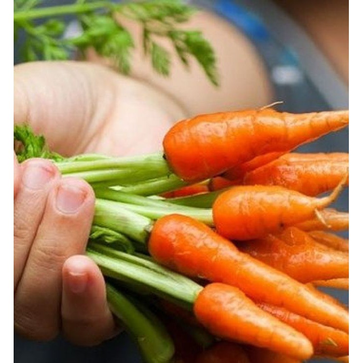 Hạt giống cà rốt mini ( cà rốt tí hon ) - 100 hạt/gói