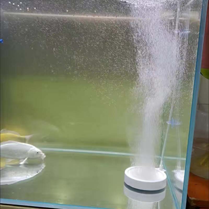 AQUARZOO Aquarium Nano Air Stone Disk Round Air Stone Diffuser Disk Oxygen Pump Sand Stone Bubble Plate for Fish Tank