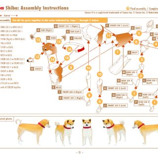 Mô hình giấy Động Vật chó Shiba Inu