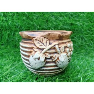 Chậu sen đá size 8cm