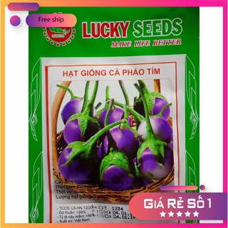 Hạt giống cà pháo tím (2gr) LUCKY.VN
