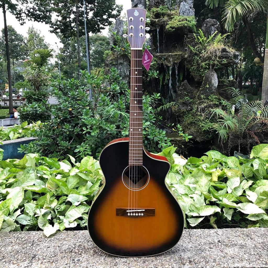 Đàn guitar acoustic chuyên tập chơi có ty - Guitar acoustic SVA1 tặng full phụ kiện - Bảo hành 1 năm