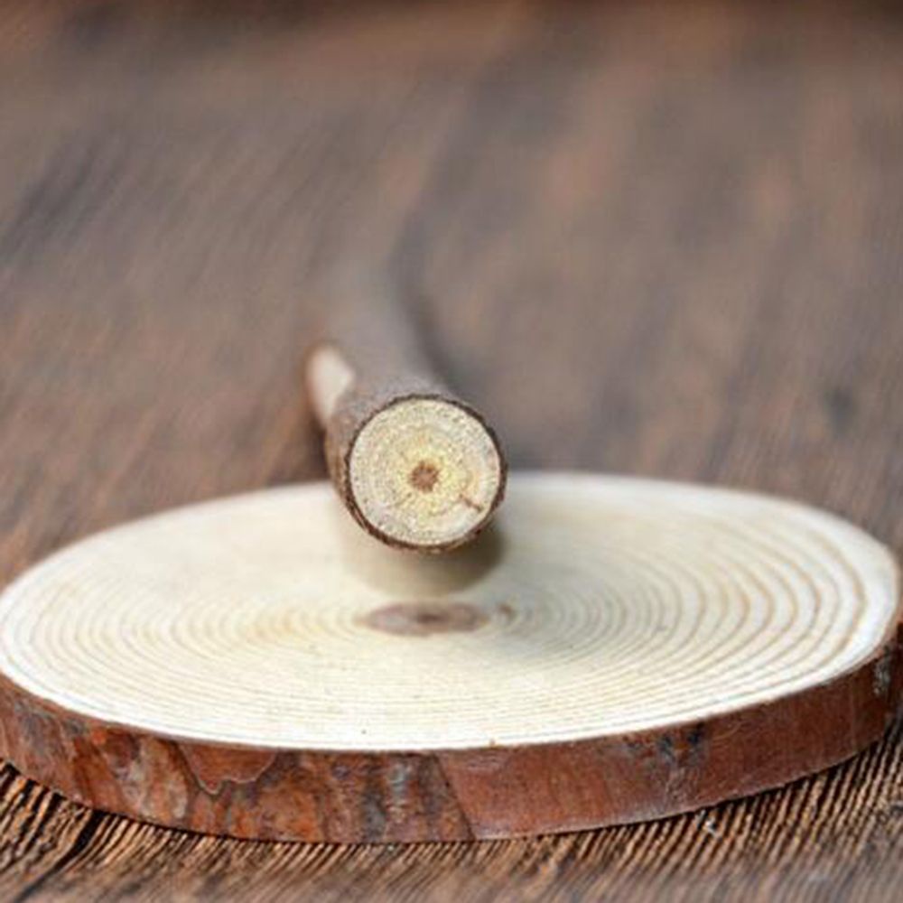 Bút bi thân gỗ hình thân cây dễ thương nhiều màu sắc