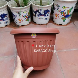 Chậu nhựa trồng cây tròn nhựa Việt Nhật cao 21cm