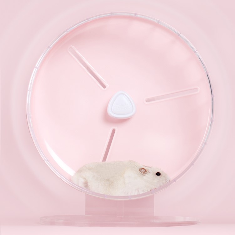 WHEEL chạy không gây tiếng động BUCATSTATE dành cho Hamster (chính hãng)