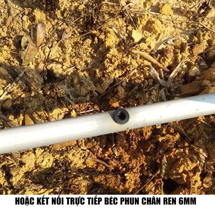 Ron cao su khởi thủy ống ldpe 6mm