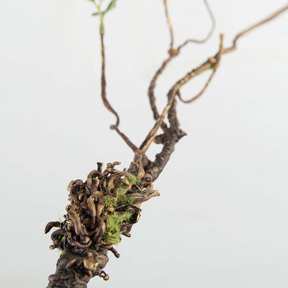 1 Nhánh Lá Cây Bạch Đàn Nhân Tạo Bằng Nhựa Dùng Trang Trí Nhà Cửa / Tiệc Cưới Diy