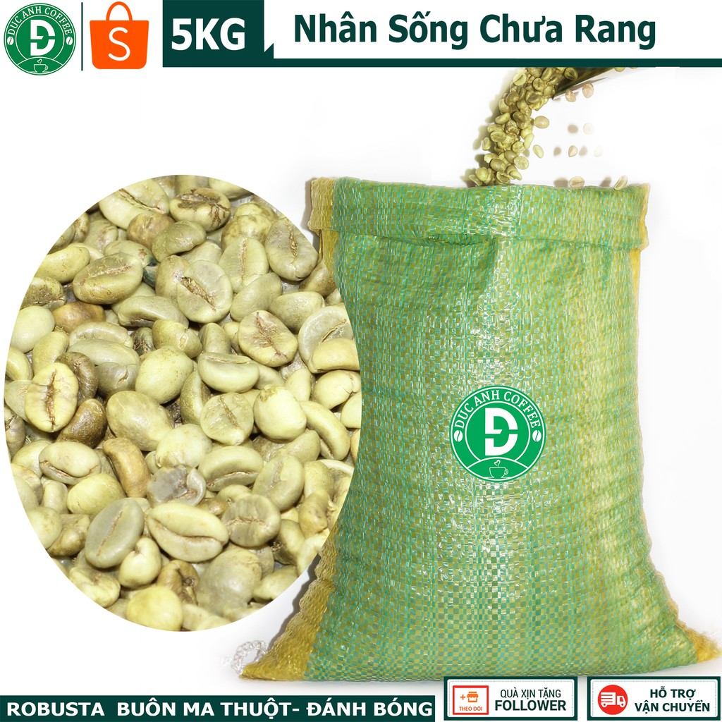 5 kg cà phê nhân sống chưa rang Robusta Buôn Ma Thuột - Hạt to đều đã được đánh bóng sạch sẽ - DUC ANH COFFEE CO.,LTD