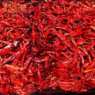 Ớt Khô Nguyên trái lại đẹp do Má tui phơi 1kg