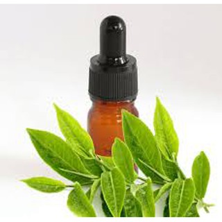 Tinh Dầu Trà Xanh Lọ 10ml