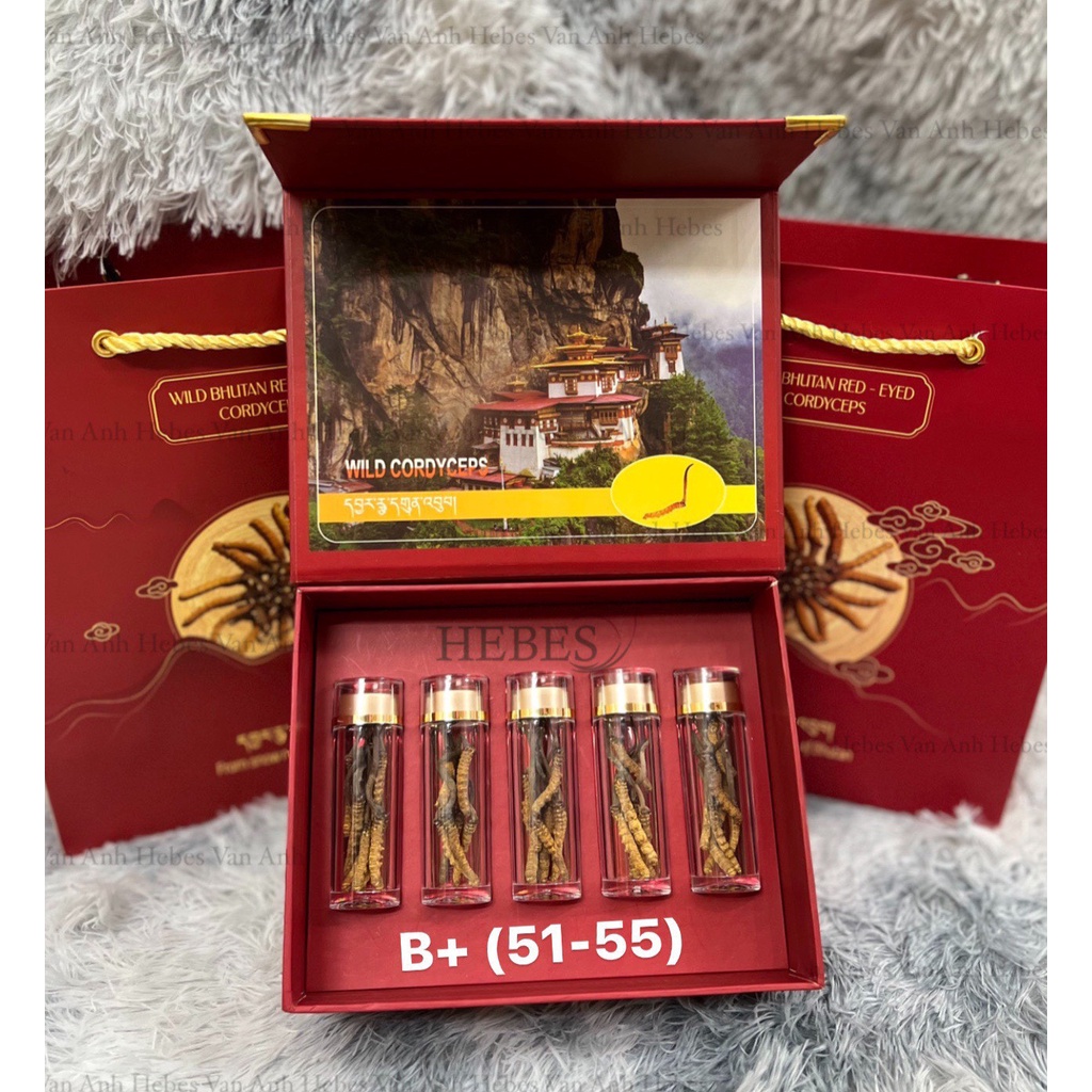 ĐÔNG TRÙNG HẠ THẢO MẮT ĐỎ BHUTAN 10GRAM SIZE 51-55 CON