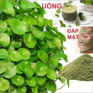 Bột rau má nguyên chất