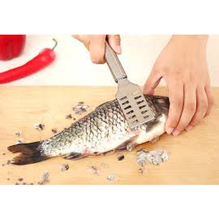 Dụng cụ đánh vẩy cá đa năng