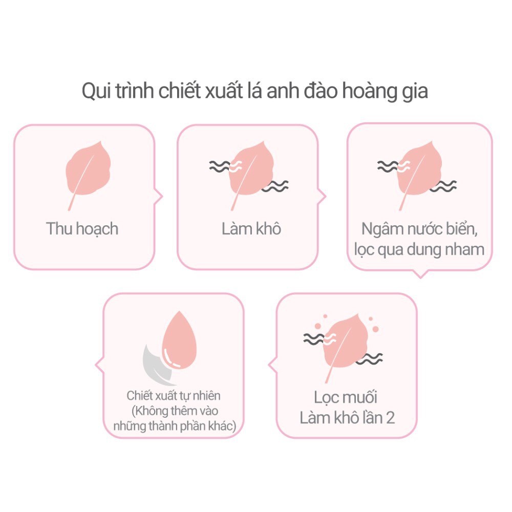 Kem dưỡng trắng da Hàn Quốc chiết xuất anh đào dưỡng trắng da mặt dưỡng ẩm nâng tone da. Innisfree Jeju Cherry Blossom | BigBuy360 - bigbuy360.vn