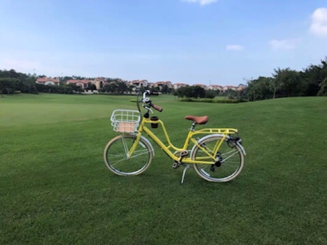 Xe đạp momentum 2019