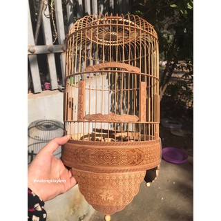 LỒNG KHUYÊN ĐỤC 'LARE' XỬ LÝ ĐẦY ĐỦ Phụ kiện