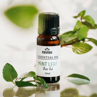 Tinh Dầu Bạc Hà NauNau Cao Cấp Hương Mát Tỉnh Táo Đuổi Muỗi Côn Trùng Xông Phòng 10ml