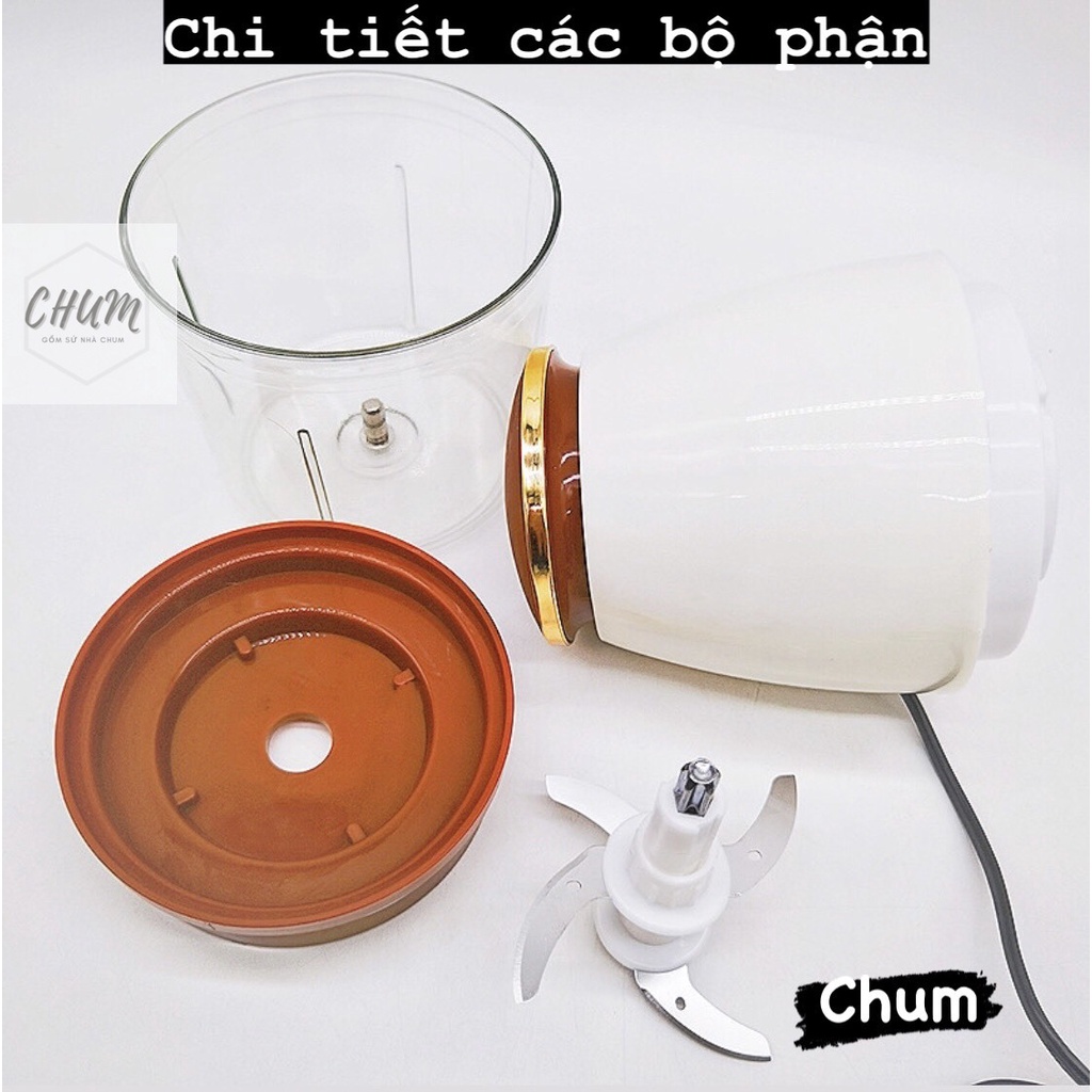 Máy xay OSAKA 750ml siêu khỏe, đa năng, sử dụng bền C9