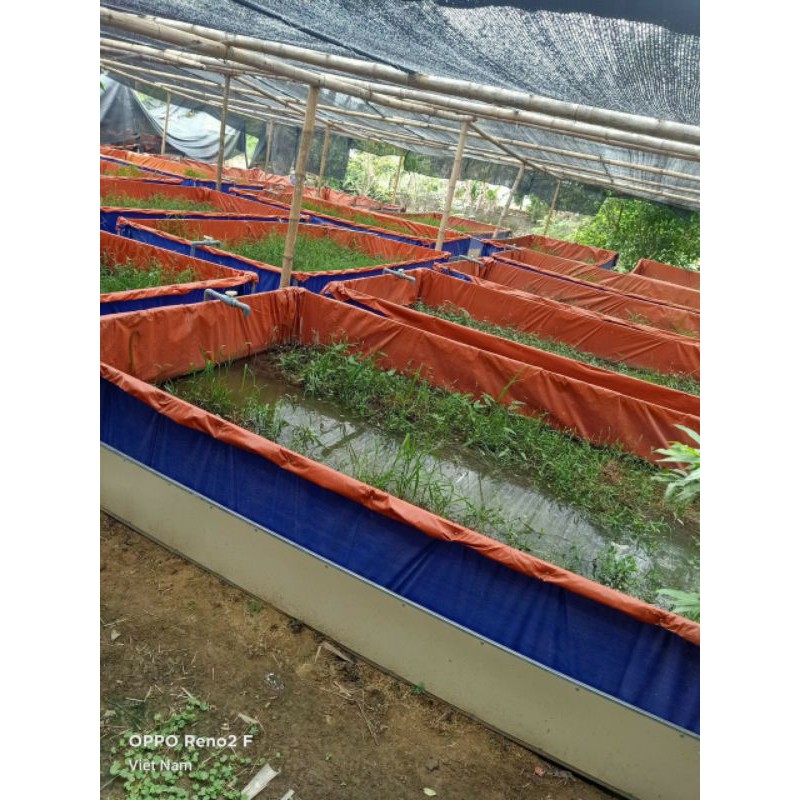 bể bạt nuôi cá , ốc , ếch , ba ba , tôm , 2 × 1 × 0,5