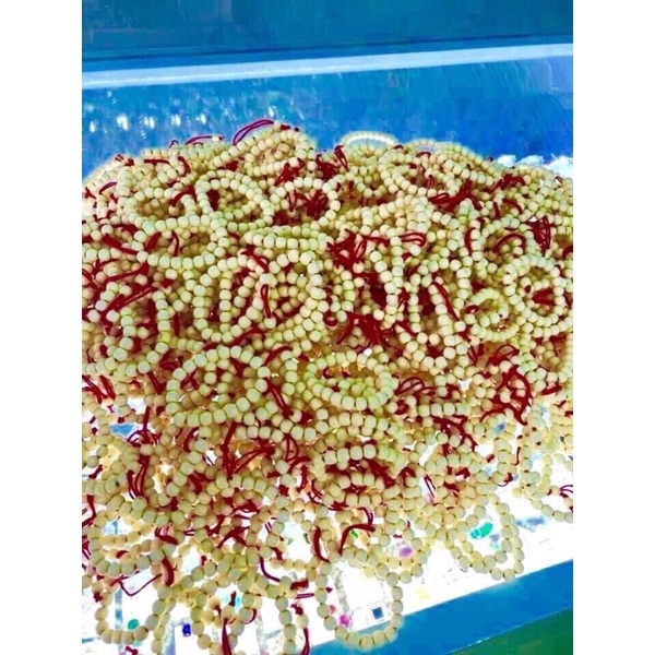 (FREE SHIP) GỐI CHỐNG TRÀO NGƯỢC CHO BÉ TẶNG VÒNG DÂU BE BẠC