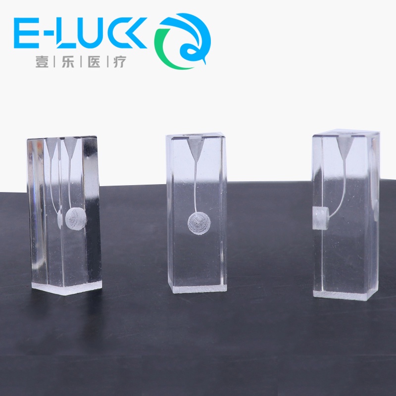 1 Mô Hình Khối Răng Dùng Để Luyện Tập Răng