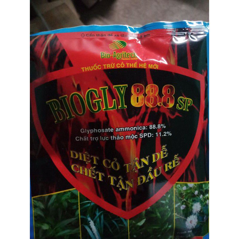SIÊU CỎ CHÁY,CỎ HOANG MỌC TỐT