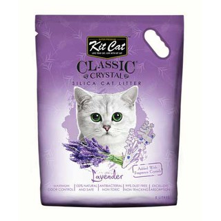 🐾🐾 Cát thủy tinh KitCat🐾🐾