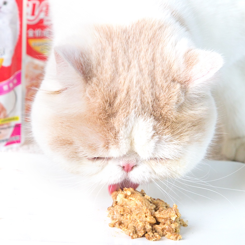 Pate CIAO Thức Ăn Mềm Cho Mèo Nhiều Dinh Dưỡng Pate Nội Địa Trung - Gói Lẻ 60gram