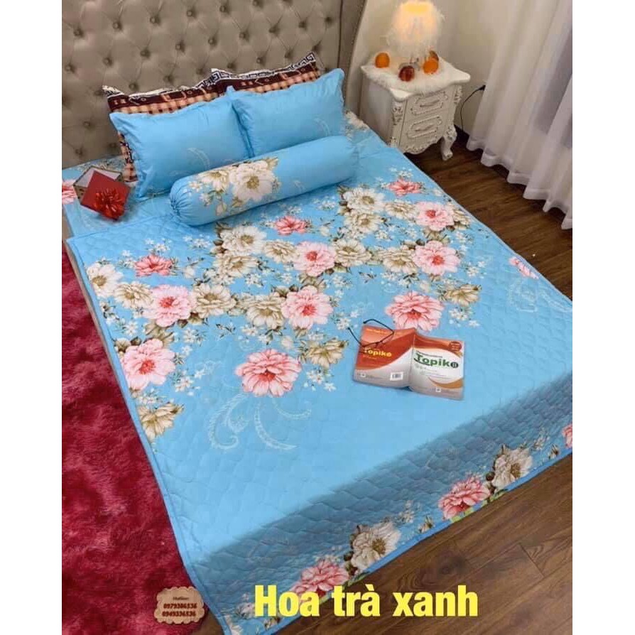 Xả Kho Bộ Ga Gối  FREESHIP  Bộ 1 ga + 2 vỏ gối cotton poly giới trẻ - set 3 món