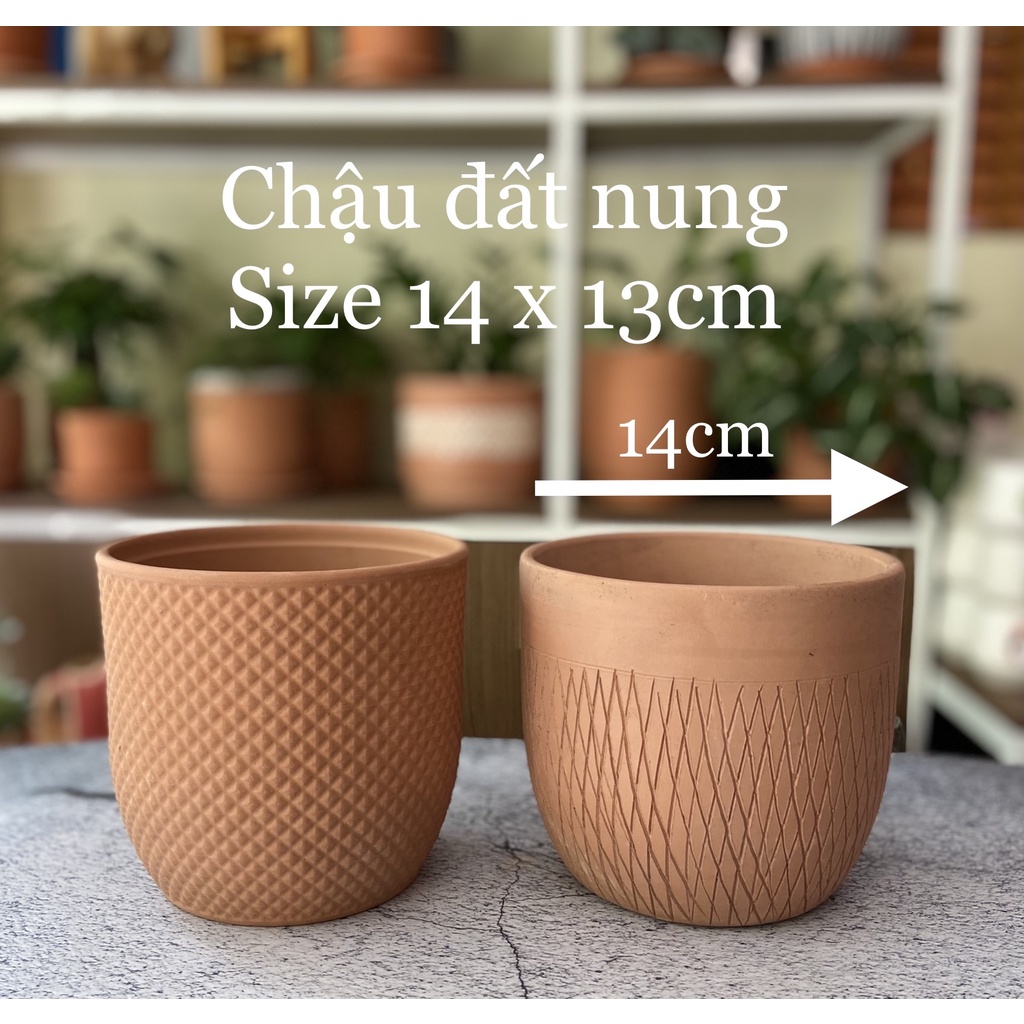 Chậu đất nung nhiều hoạ tiết, Size 14-15cm chậu trồng cây để bàn, sen đá xương rồng