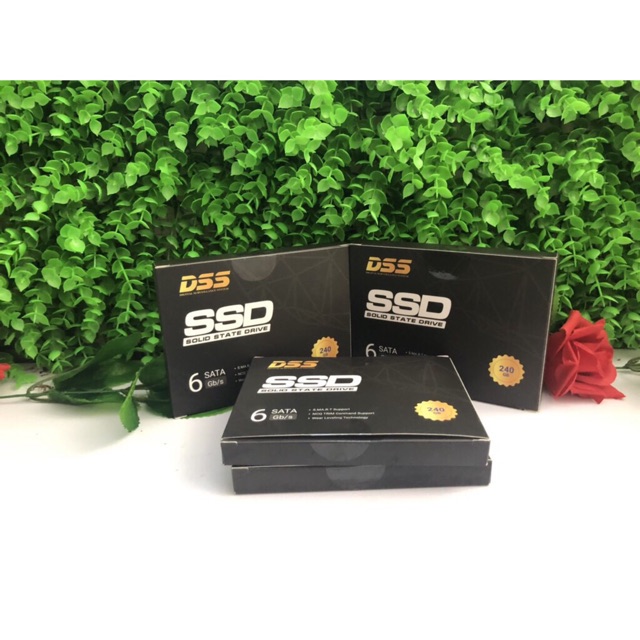 Ổ cứng SSD 128Gb DSS vỏ nhôm chính hãng | BigBuy360 - bigbuy360.vn