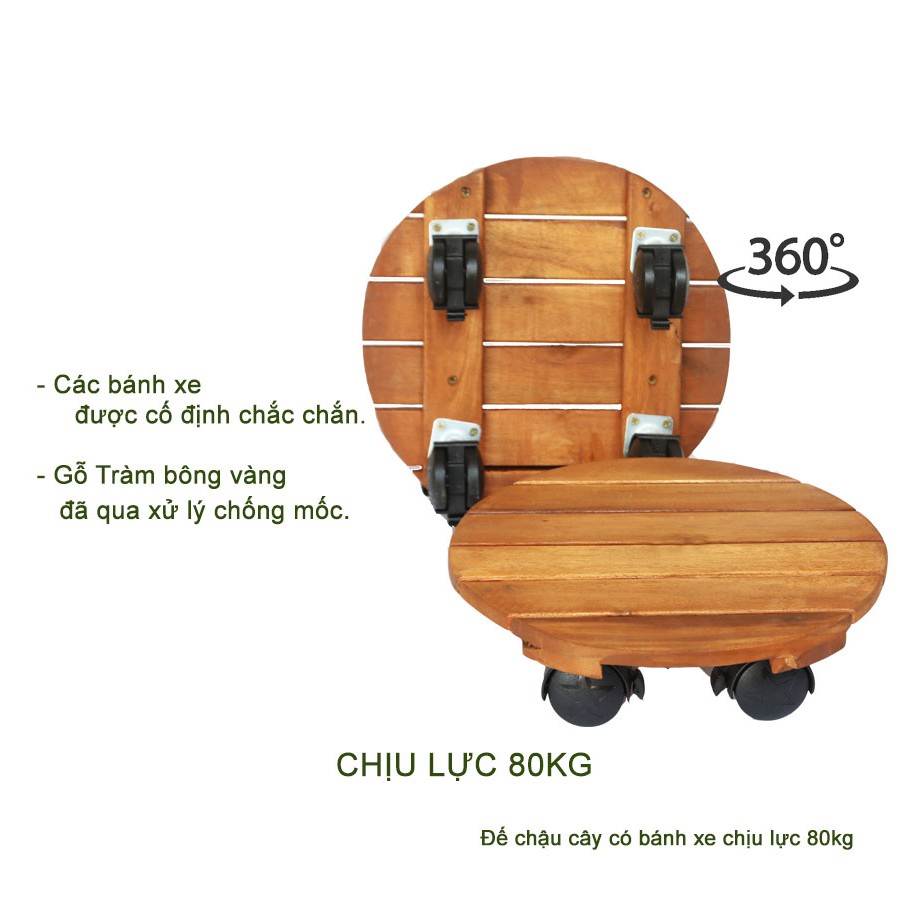 Đế lót chậu cây có bánh xe Tròn chịu lưc 80kg bằng Gỗ R30xC8cm - Đế để chậu cây có bánh xe, di chuyển chậu cây | BigBuy360 - bigbuy360.vn