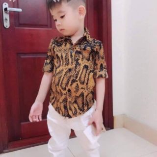 Áo Sơ mi lụa bé trai và gái