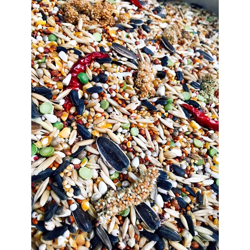 Hạt trộn cho vẹt giá rẻ chất lượng 500g/1Kg