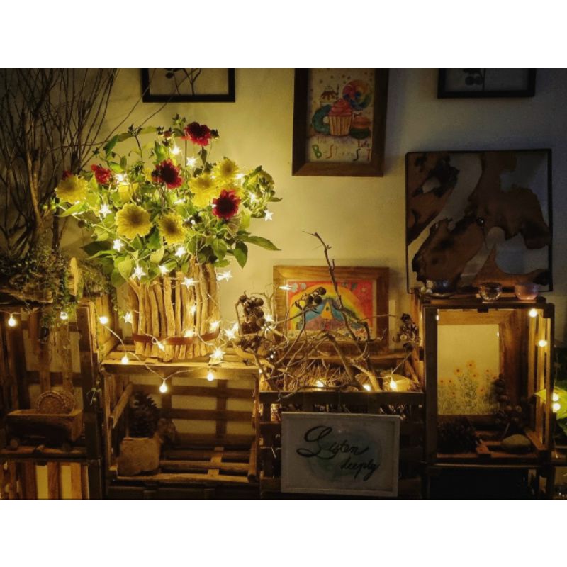 Chậu gỗ trồng phong lan, sen đá ,sương rồng