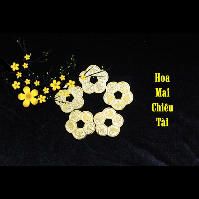 Tiền Xu Âm Dương, Kích Tài Lộc | BigBuy360 - bigbuy360.vn