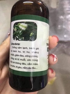 Tinh dầu tràm huế