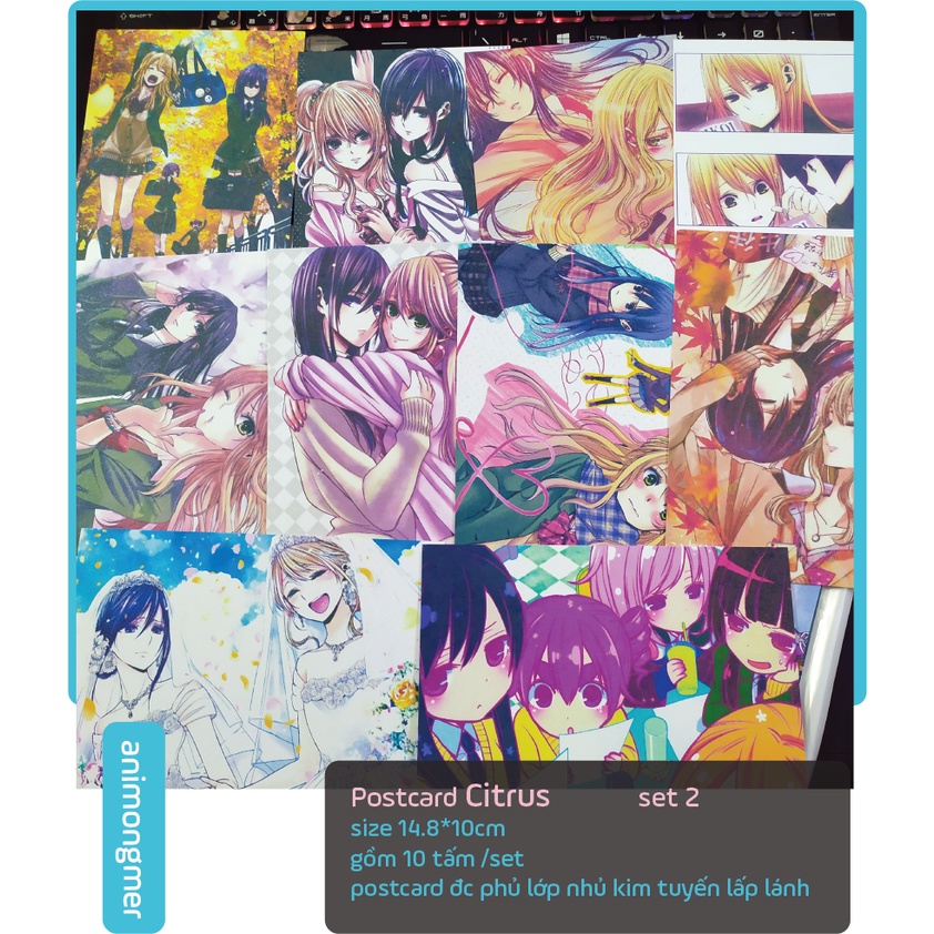 Postcard bưu thiếp Citrus