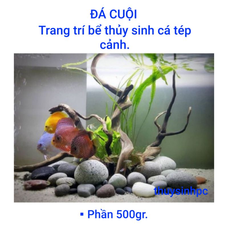 Bao 500gr đá cuội trang trí bể thủy sinh, terrarium