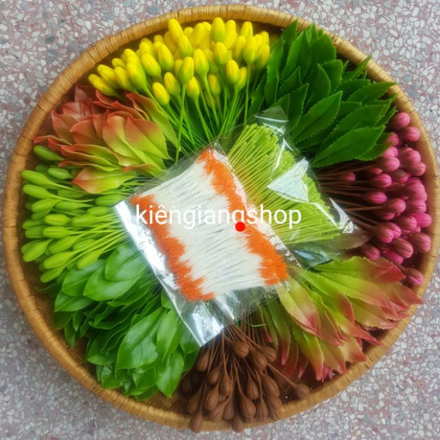 Combo nụ đào mai