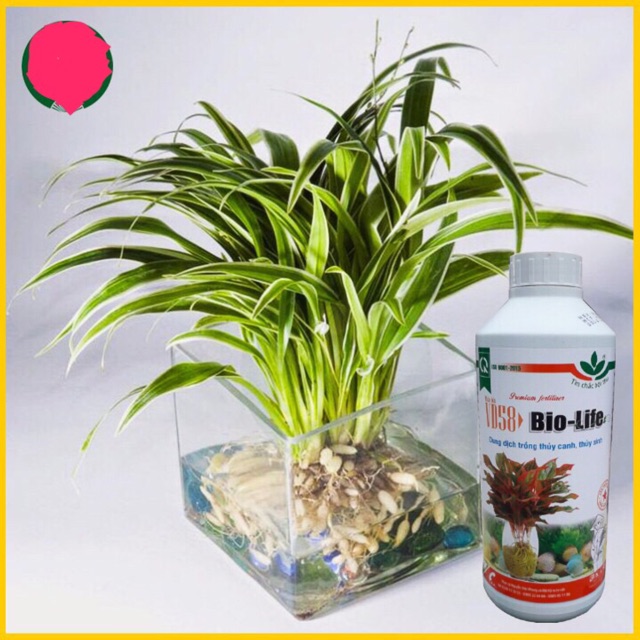 Dung Dịch Thủy Canh Bio Life 1 Lít